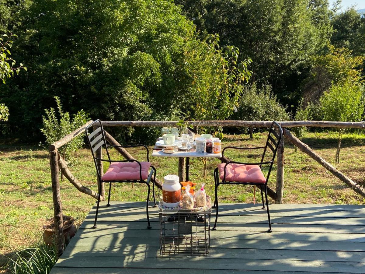 Casa Nel Verde Decollatura Zewnętrze zdjęcie