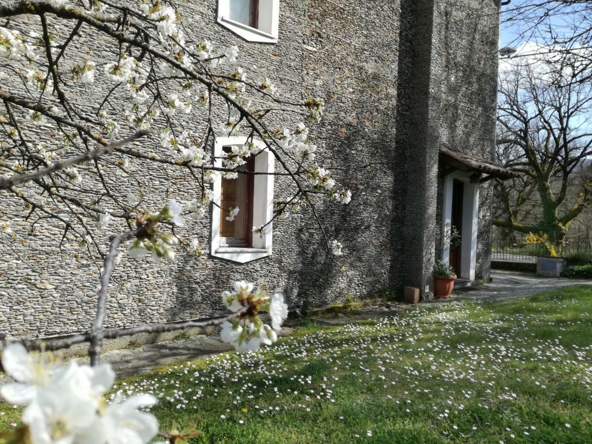Casa Nel Verde Decollatura Zewnętrze zdjęcie