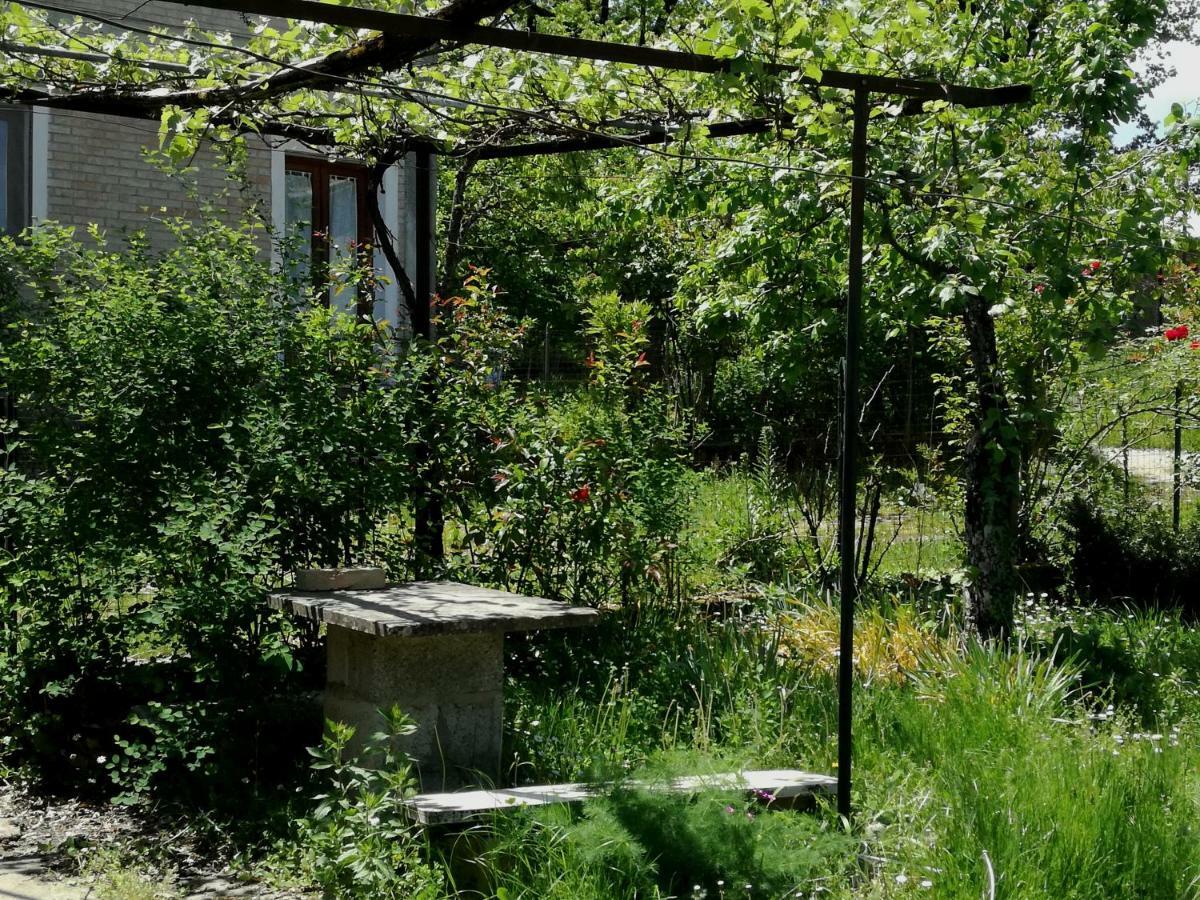 Casa Nel Verde Decollatura Zewnętrze zdjęcie