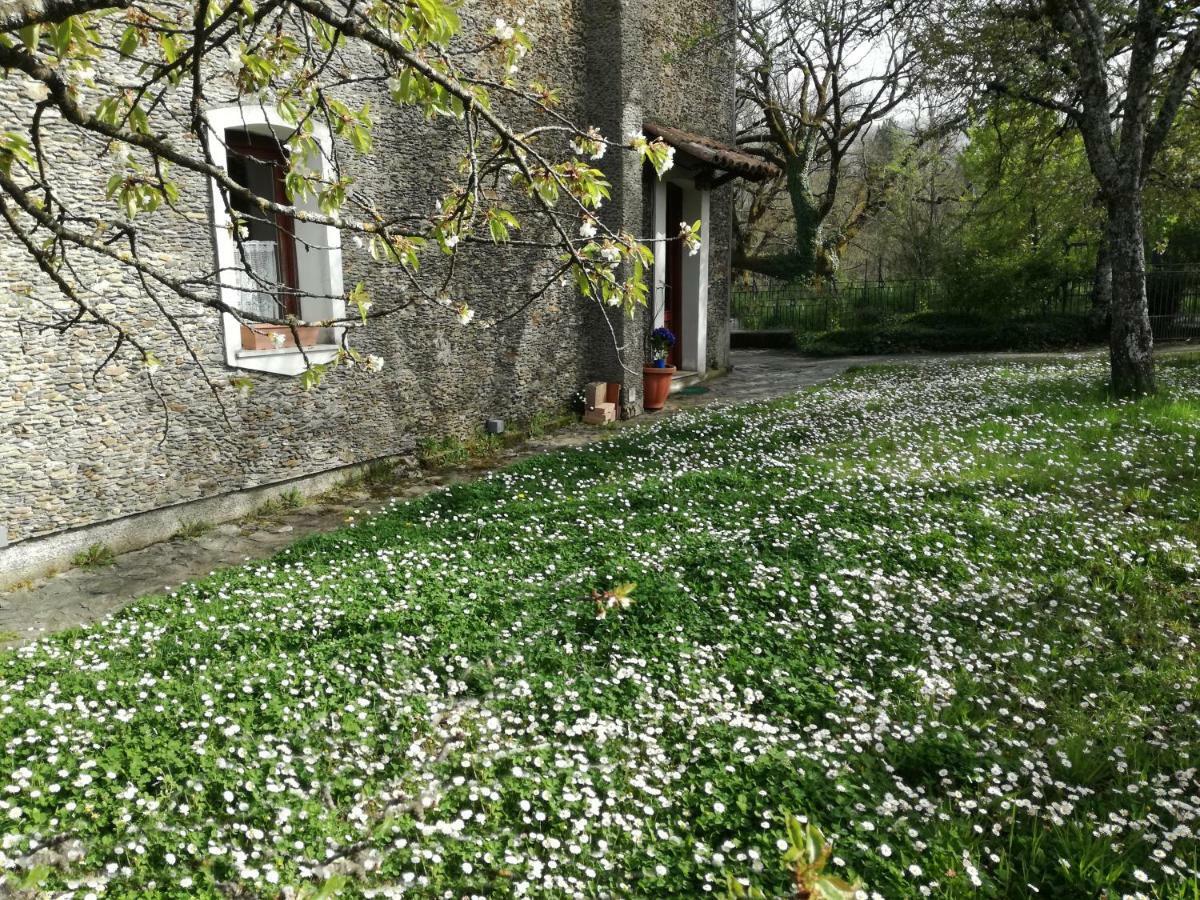 Casa Nel Verde Decollatura Zewnętrze zdjęcie
